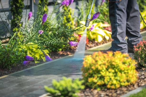 Best Dumpster Area Cleaning  in Mobile, AL
